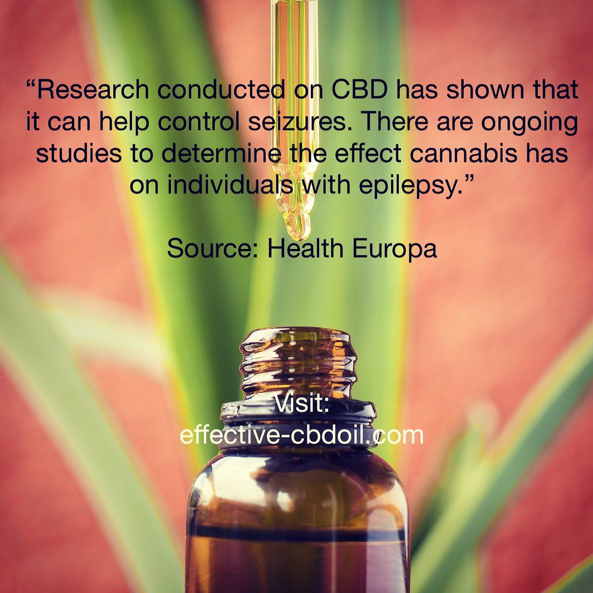 hempcbdoil2's tweet image. When looking for safe alternative treatments for epilepsy, chronic pain, insomnia, depression and anxiety,
use the ones proven effective. Use our cbd oil, visit effective-cbdoil.com today! 💯💚✅
#cbd #cbdusers #epilepsy #anxiety #chronicpain #depression #insomnia #alternative