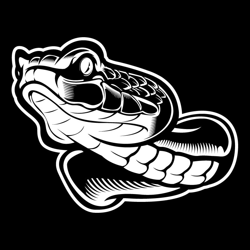 Pit Viper Snake Head