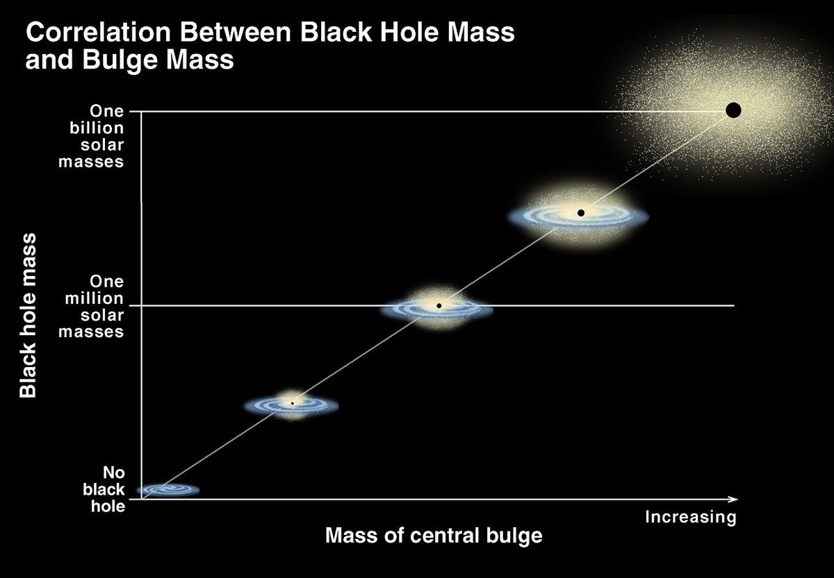 20 years ago, astrophysicists discovered that not only do most galaxies host a SMBH in their cores, but that the mass of the SMBHs correlates closely with properties of the galaxy, like the mass of the spherical part of the galaxy or the speeds of stars orbiting there.