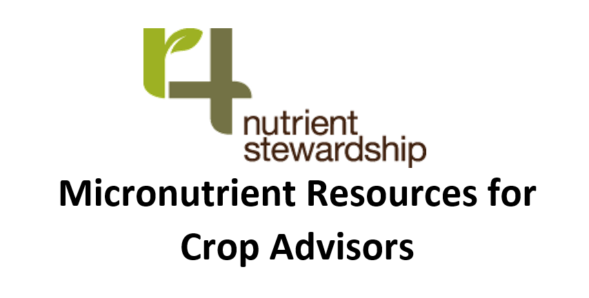 TFI_ACE's tweet photo. Looking for more insights into Micronutrients following yesterday's #LearningXchange webinar? Check out other articles, webinars and modules authored or organized by TFI on the topic. https://t.co/3MiSXZr9Da @4Rnutrients @Fertilizer_Inst @CCASoundAdvice https://t.co/Bn4gtSqC72