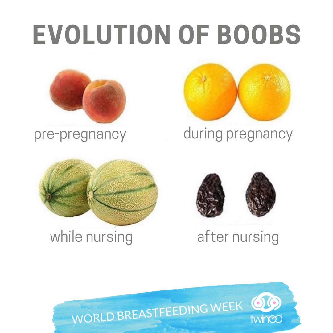 Just another of the "fruits" of motherhood 😂🤷‍♀️ Tell us below, what phase are you in, or which phase do you miss?🍑🍊🥥
#worldbreastfeedingweek #tandemnursing #breastfeedingtwins #tandembreastfeeding #milkymamas #breastfeedingmom #twingocarrier  #babywearing  #twins #twinmom