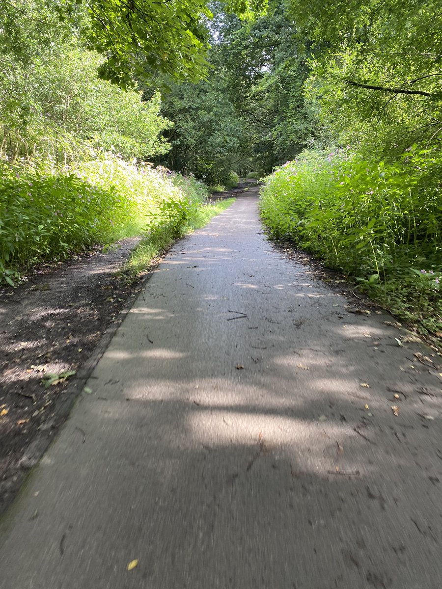 collegeflunky's tweet photo. Cycle to Work with a twist. Quick scoot around Outwood Trail and Philips Park between meetings. Spotted some pirates on the way #CycleToWorkDay #cycleanywhere #outwoodtrail #philpspark #onmydoorstep #burydtreasure https://t.co/pxqQA8ToVF