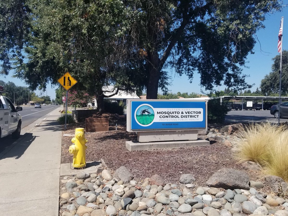 SignsVi tweet picture