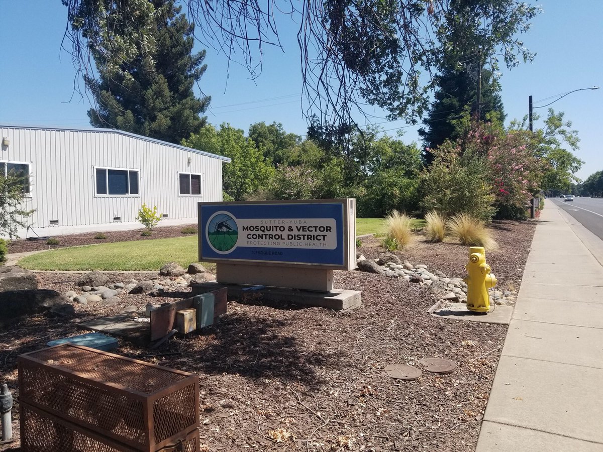 SignsVi tweet picture