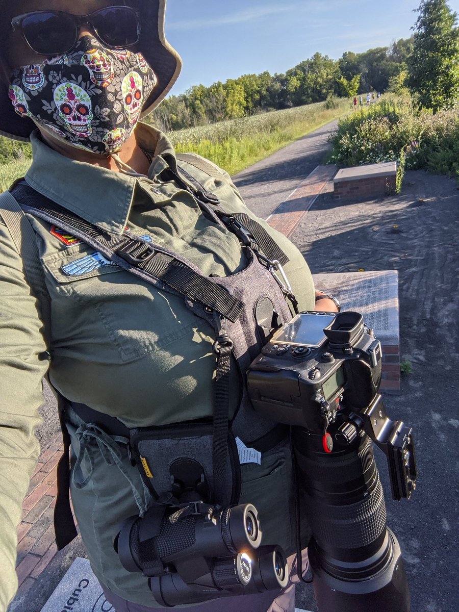 Bird Photography is now serious biznez Cotton Carrier G3 harness + new 10x42 binos
Just raised my nerdscore about eleventy%, but does the job. And yes, masking for other trail walkers' sakes!  #cottoncarrier #birdphotography #WearAMask #6feetplease