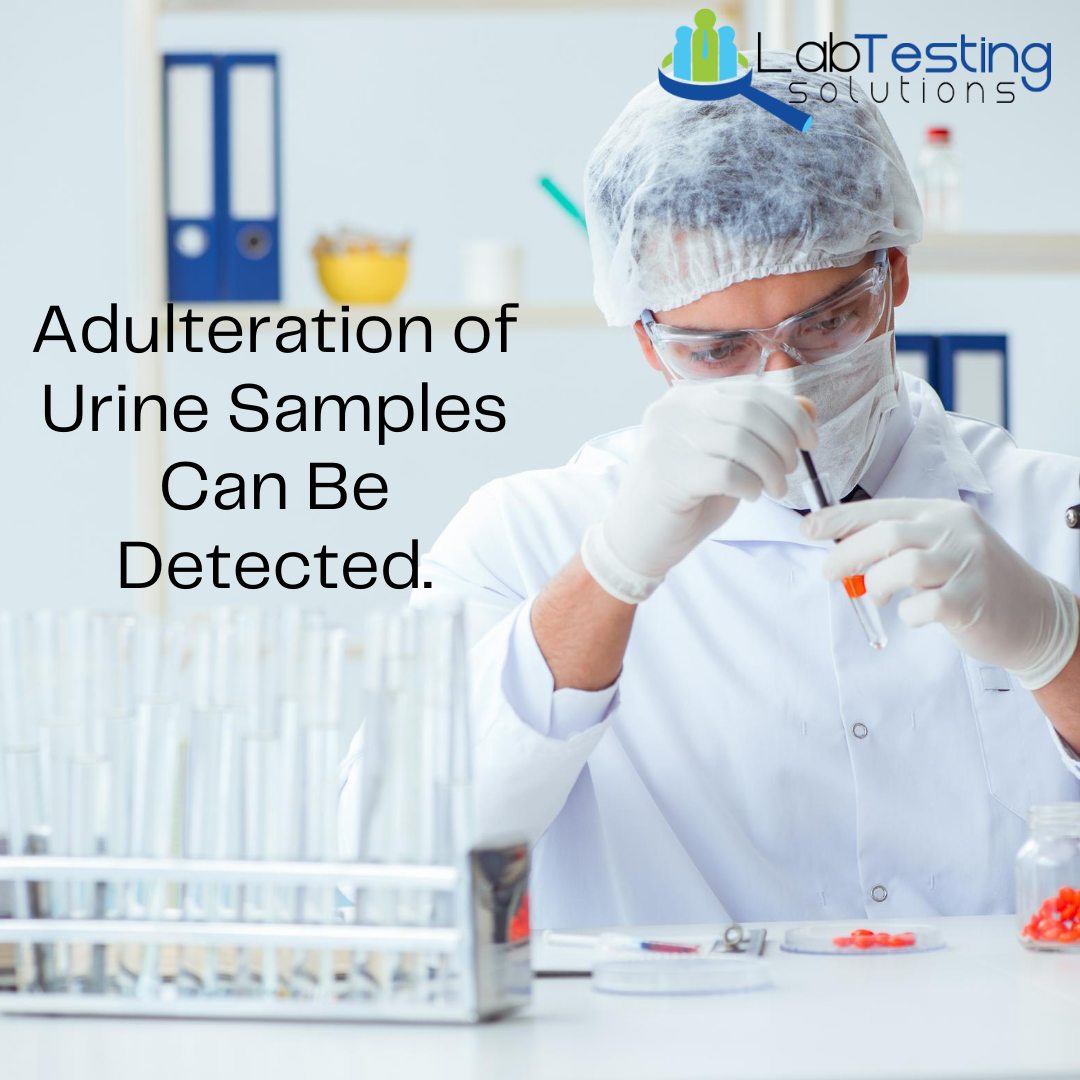 LabTestingUSA's tweet image. Thinking of using aftermarket Adulterants to pass your Drug Urine Tests ? 

Adulteration of Urine Samples can be detected and your employer or prospective employer or agency will be notified.

#DrugTestingService