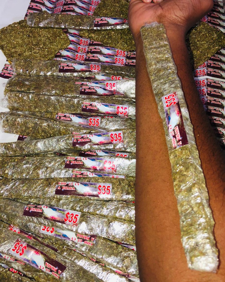AmelhorErva's tweet photo. Melhor  que  essa não  tem de 35 a mega forte 🍁🤤💪🏾🤜🏾🥴

              👊🏿 CDD 1️⃣3️⃣ 👊🏿 https://t.co/7XGB8JLVVk