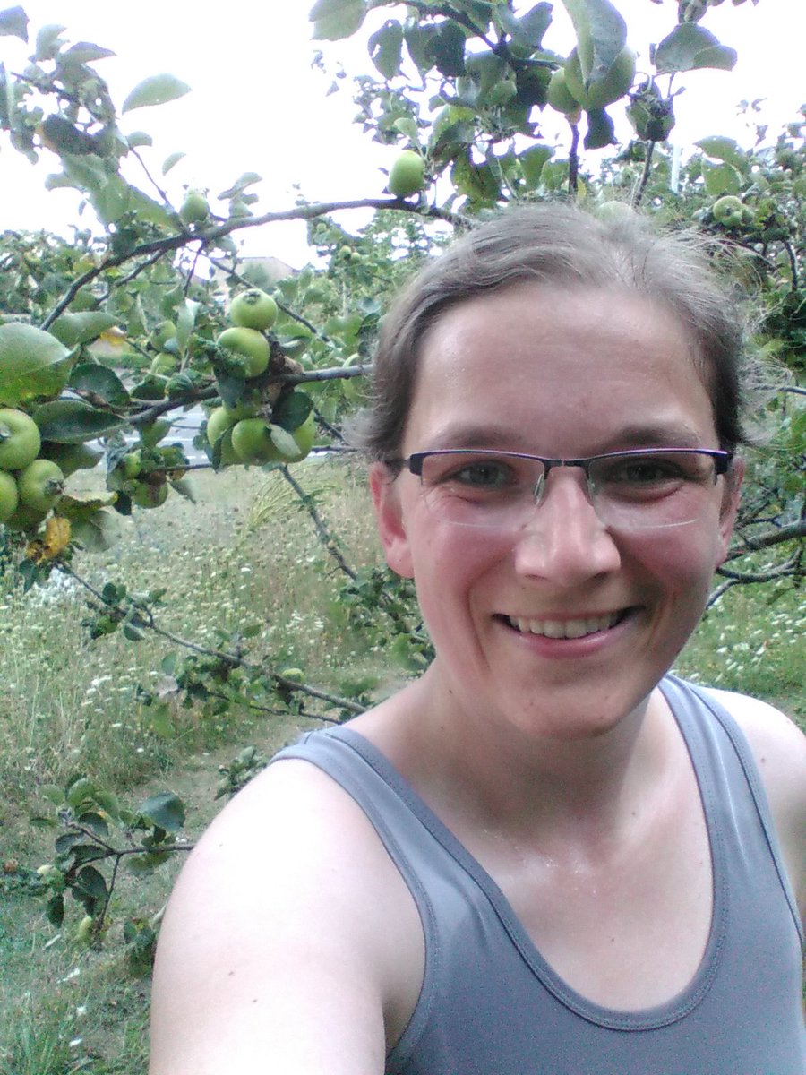 PV_Physicist's tweet image. Today just a short 3k run for my #nerdrun training. Found an apple tree on the wayside and saw a fox!!