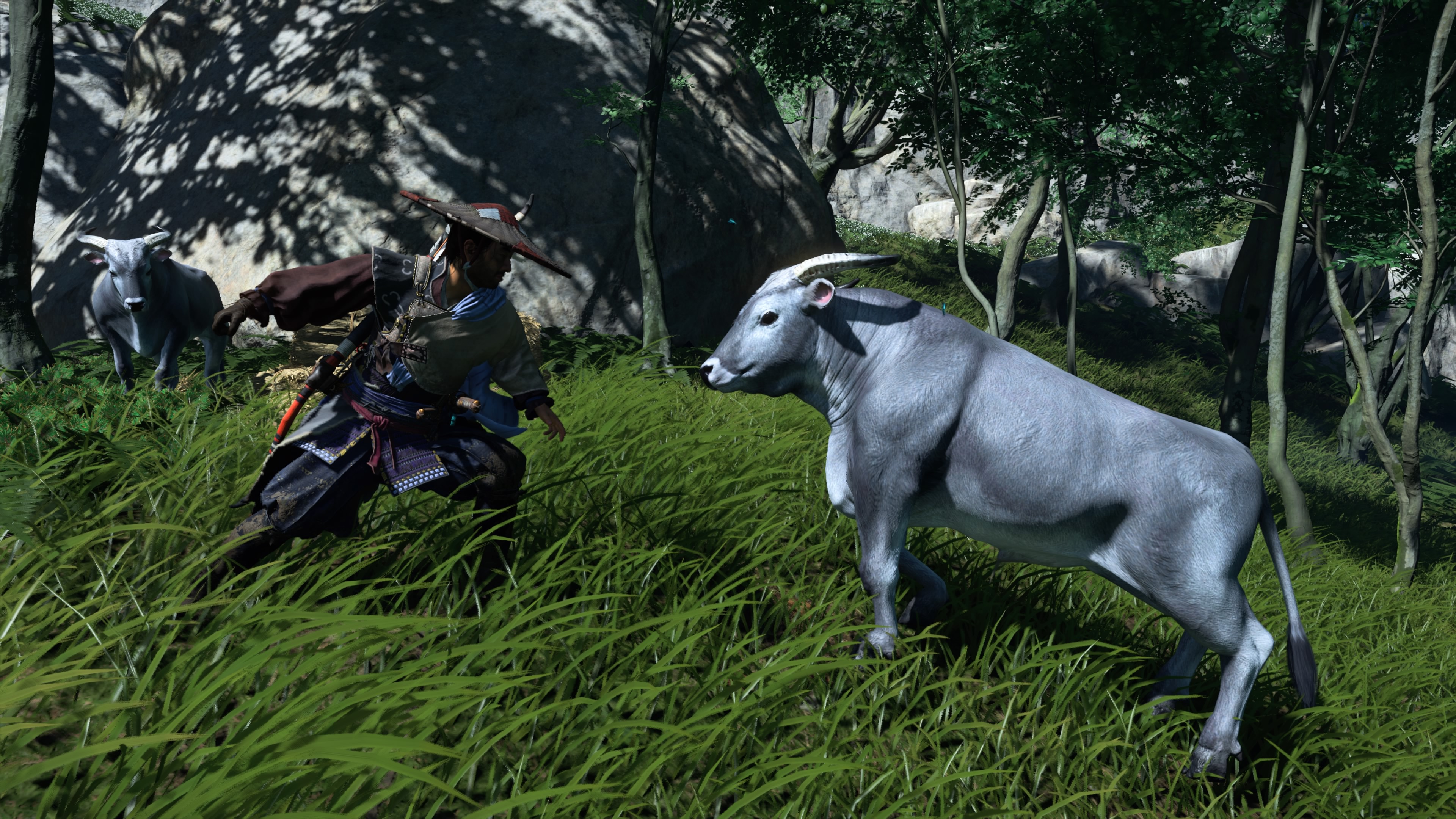 Eewvn2jXYAUgM7B?format=jpg&name=4096x409