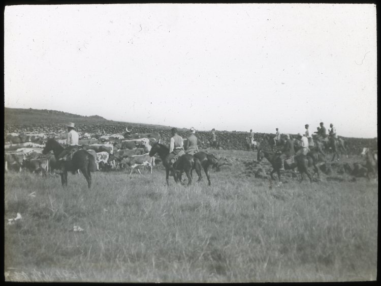 La carta y el discurso hacia Edmunds, pese a su tono conciliador, fue el /casus belli/ para la Compañía Explotadora. Edmunds amenazó con que él y sus guardias dispararían a matar a cualquiera que fuera sorprendido tratando de robar ovejas al otro lado del muro.