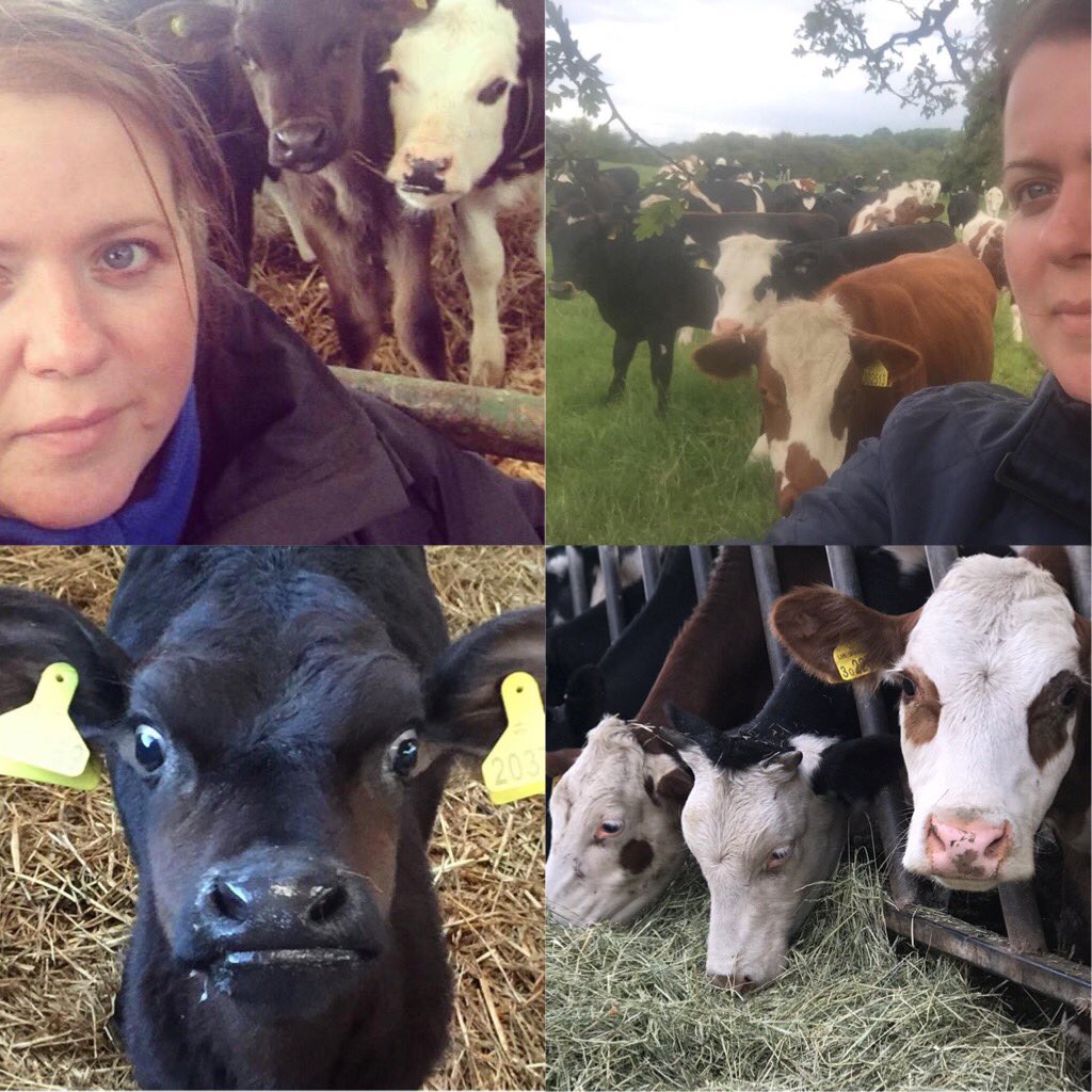 The saying goes when one door closes another door opens... this is so true. 
Rearing our remaining 30 dairy cross, herefords and Angus calves gave us the time we needed to think about our future plans. 

#Farm24 #proudofukfarmers #backBritishfarmers #familyfarm #calves #farming