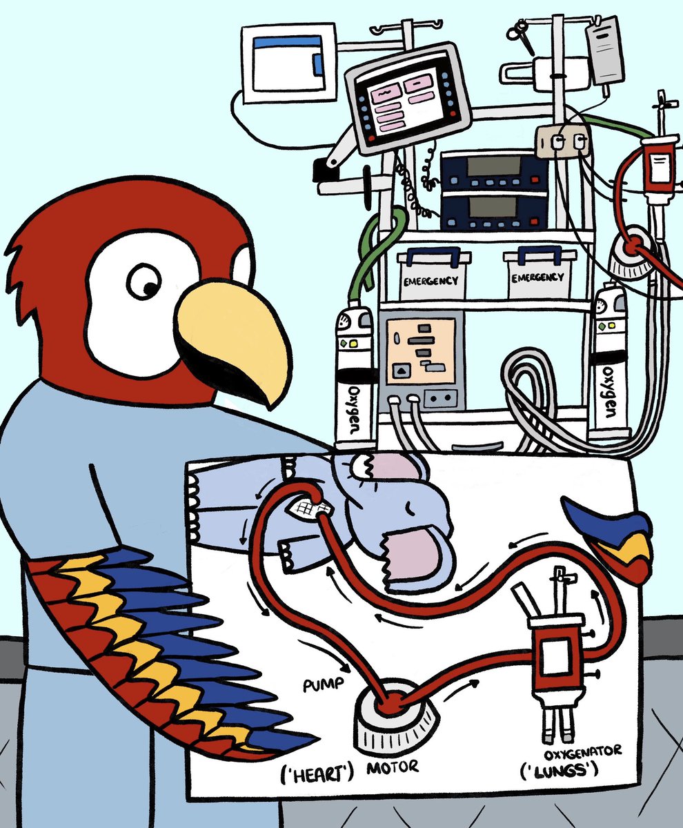 Nurse Dotty Books (@booksdotty) on Twitter photo It’s ready! 
Ernie the Elephant needs ECMO. 
A book to support children and their families in their ECMO journey. 
Now available on amazon in print or ebook form. 
#PedsICU #ecmo It’s ready! 
Ernie the Elephant needs ECMO. 
A book to support children and their families in their ECMO journey. 
Now available on amazon in print or ebook form. 
#PedsICU #ecmo