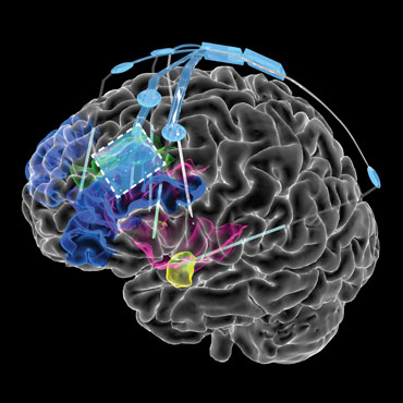 CaraSantaMaria's tweet photo. Brain-to-brain interfaces promise to bypass language. But do we really want access to one another’s unmediated thoughts?

#BrainInterfaces #Language #Linguistics #HumanCognition #Neuroscience #BioTechnology

https://t.co/JDS3BzYNnz https://t.co/st2KQPVxRD