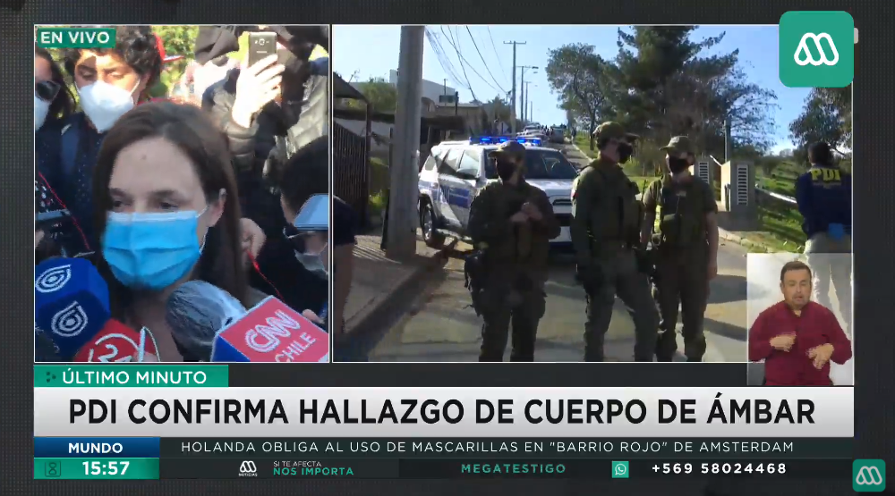 Meganoticias tweet media