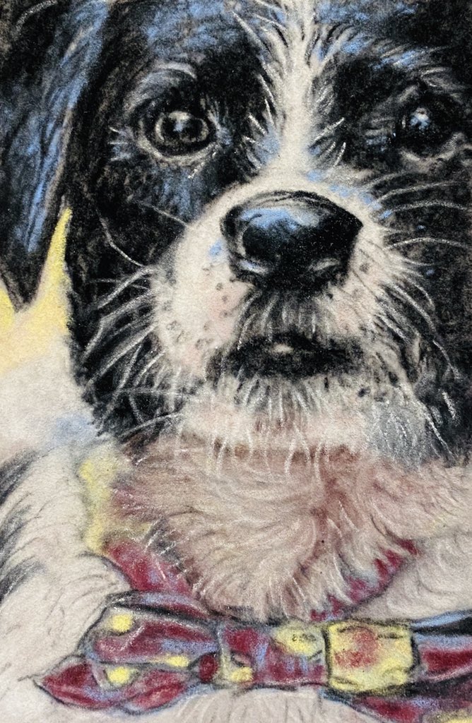 BNjunkie's tweet image. “Clover” done with pastels from #getsketchbox