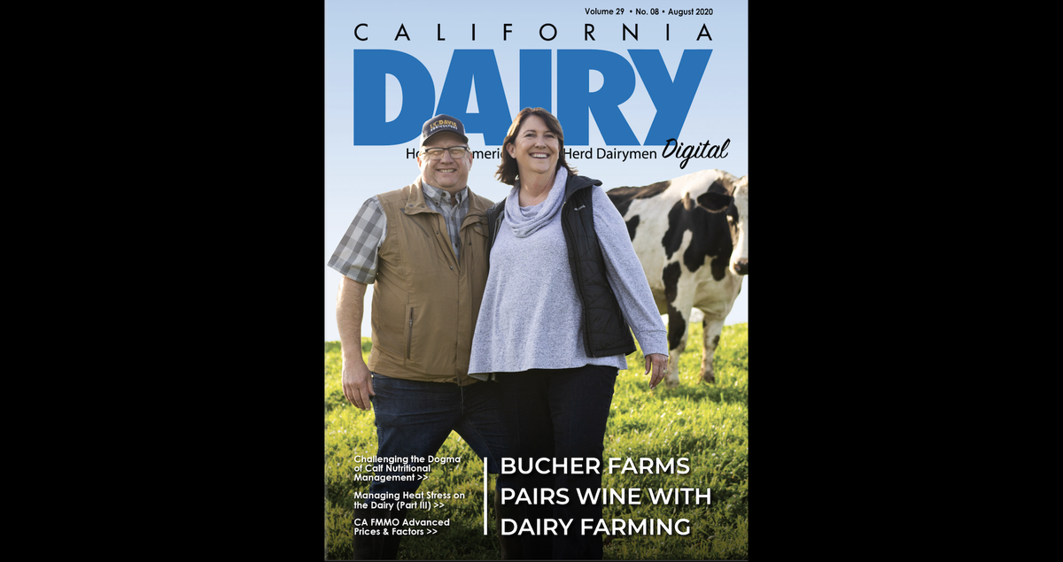 CalDairyMag's tweet photo. Read the Aug.issue of #CaliforniaDairy Digital:https://t.co/eLQt8QimoG feat. #BucherFarms in Sonoma, Calf Nutrition Management from  @CalfandHeifer Conference, Calf Heat Stress with @thedairyoffice &amp;...

@nmpf @lystekINT @RealCalifMilk @OntVetCollege @CloverSonoma @ucdavisvetmed https://t.co/h5RQR5AQs7
