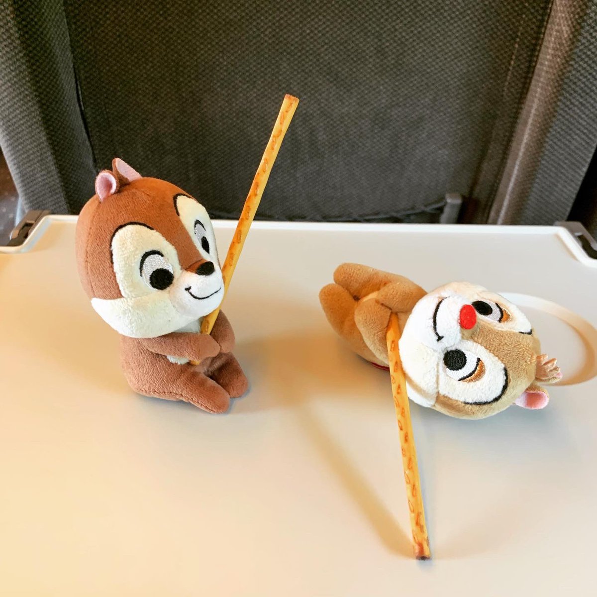 チップとデールと時々ドナルド (@dailychipndale) / Posts / X