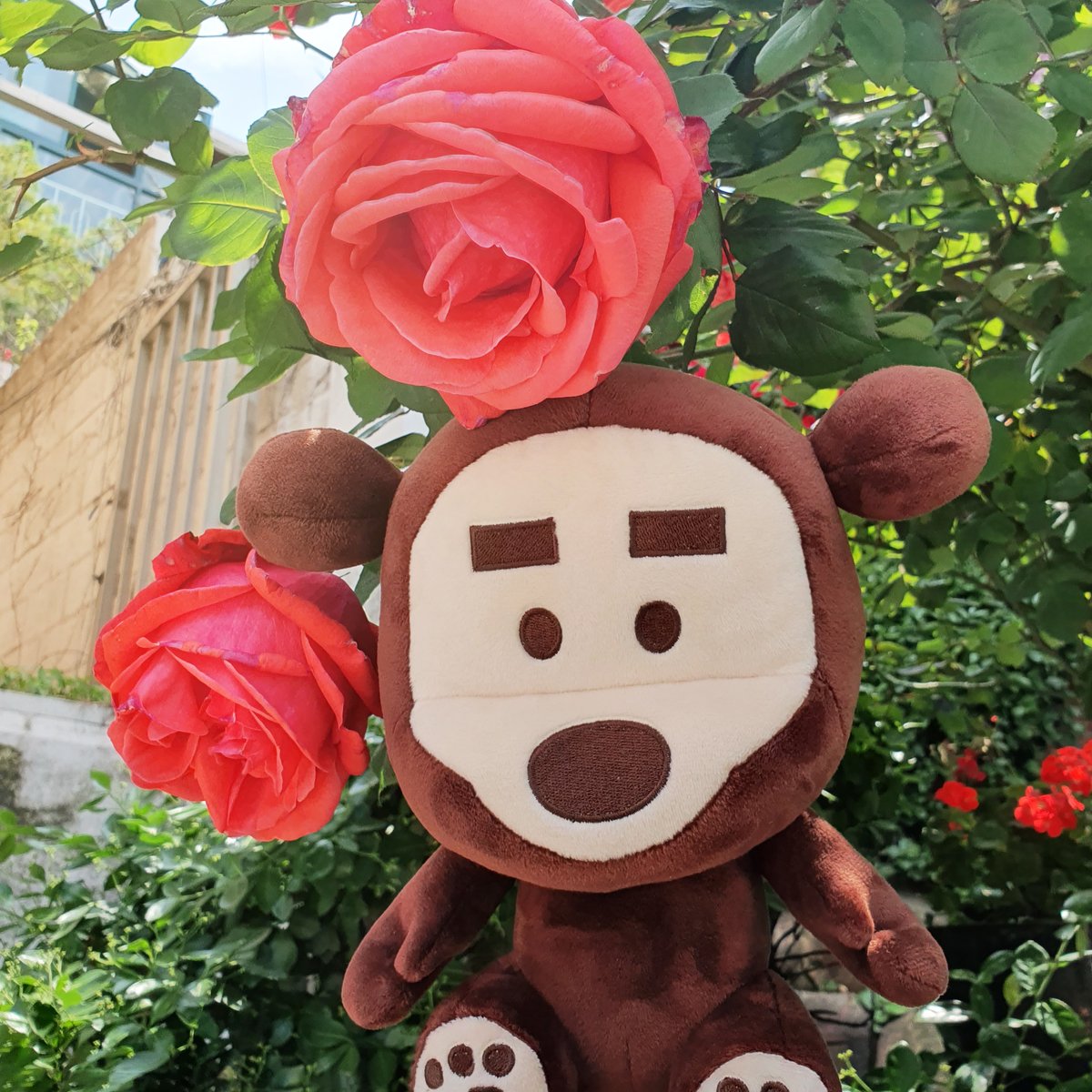 한국 3D애니메이션 #레드슈즈 의 #우드베어, #텀블벅 펀딩 진행중! 실물이 더 예쁜데 사진이 다 담아내지못하는구나🥲 https://tum.bg/aWIz6M 8월 27일...