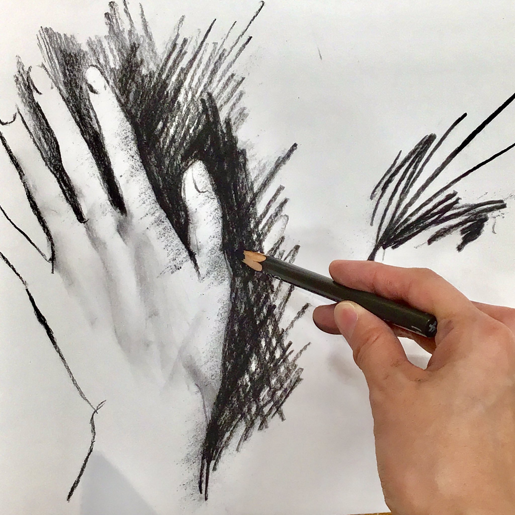 画箋堂 本店 画箋堂 鉛筆の性格を知ろう クロッキーといえばこの鉛筆の粉のザラザラ感 コンテアパリチャコールペンシル は芯が木炭で出来ていて 木炭独特の濃厚な黒がクロッキーを引き締めてくれます コンテアパリチャコール鉛筆 全4硬度 H Hb B