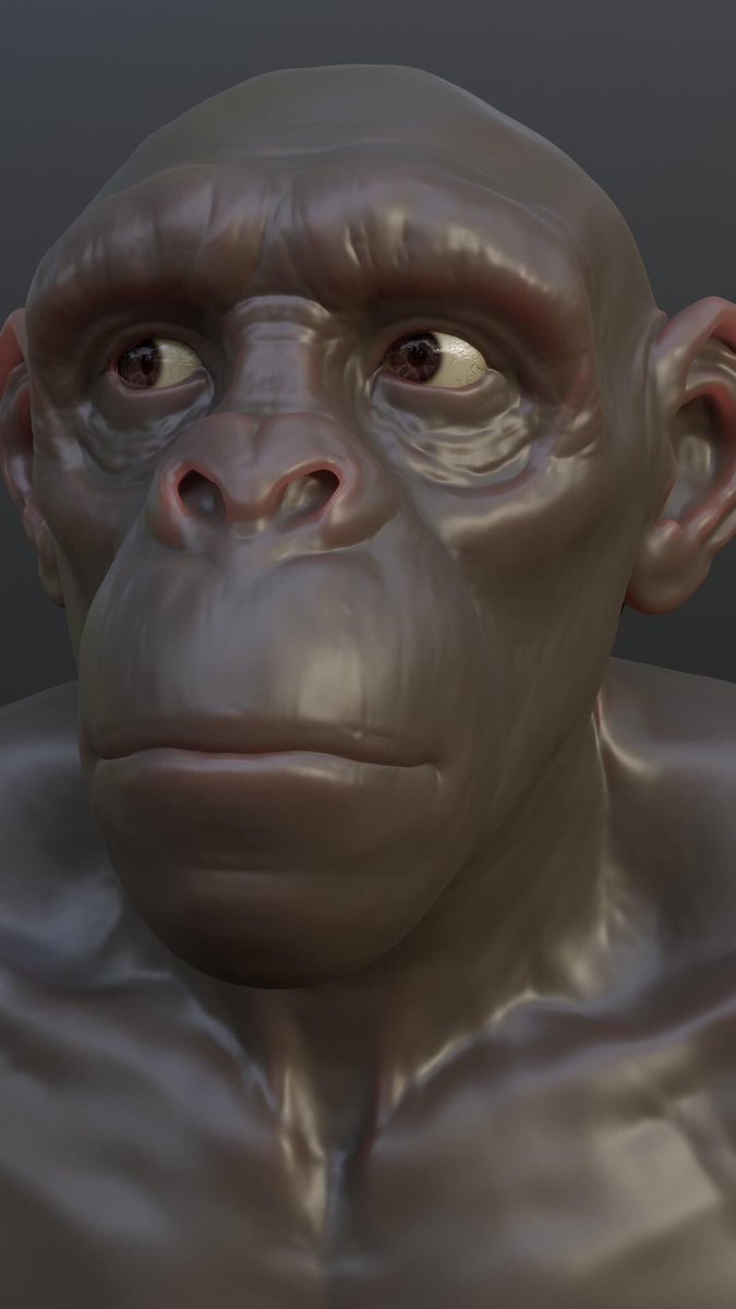 TriangleTrooper's tweet photo. Ape sculpt.

Zbrush and Blender.

---
TAGS
---
#zbrushsculpt #zbrush #pixologic #pixologiczbrush #digitalartist #digitalart #3dartist #3dart #sculpt #sculpture #sculpting #blender #cgiartist #cgi #cgiart #vfxartist #VFX #cyclesrender #ape #monkey #artstationhq #artstation https://t.co/DkWfKVFMFk