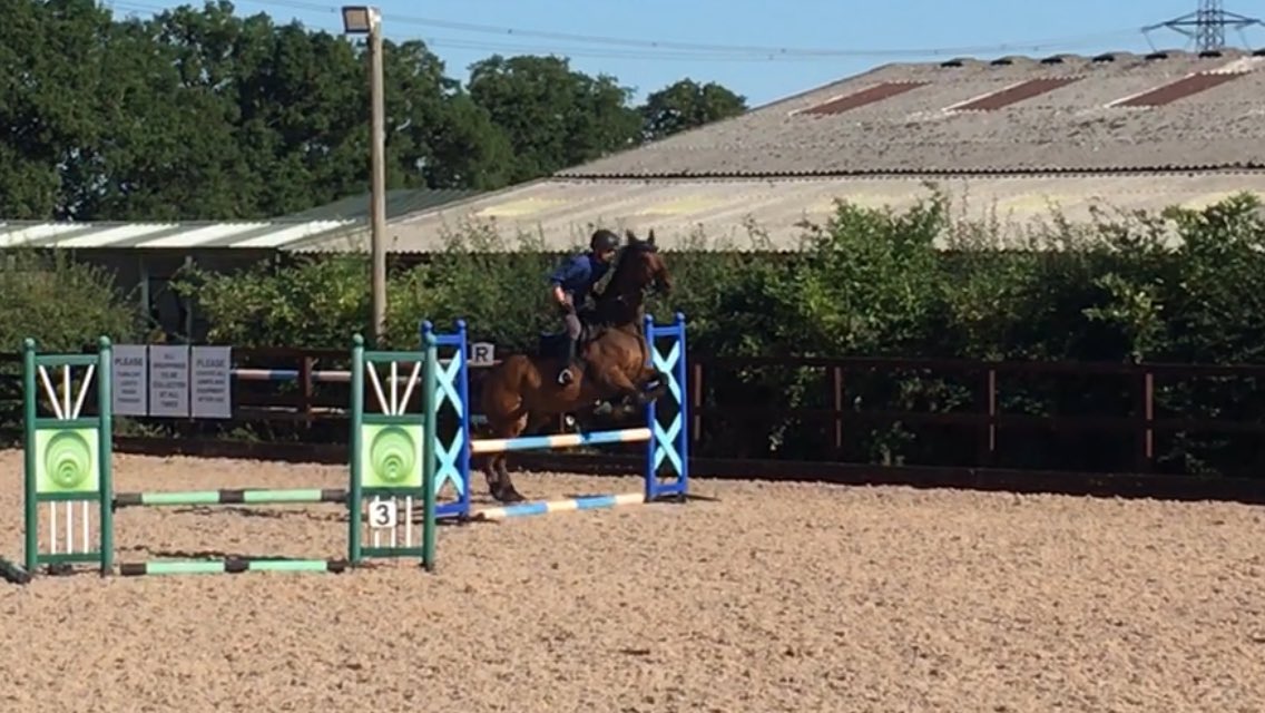 jamesdavy7's tweet photo. Max does his stuff #clearround https://t.co/bbuos0KkHy