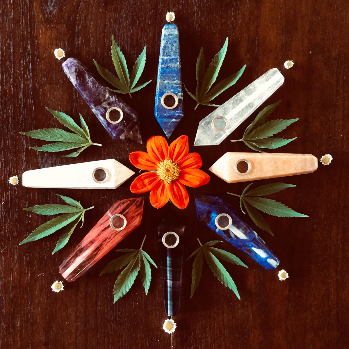Getting creative with our crystal pipes and cannabis leaves! Which crystal is your favorite?

#crystalhealing #crystals #alternativemedicine #cannafam #cannabiscommunity #cannabis