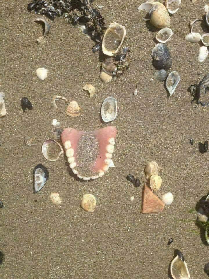 PatRadolovic's tweet photo. The old man and the sea https://t.co/zXC2OQ1eCO