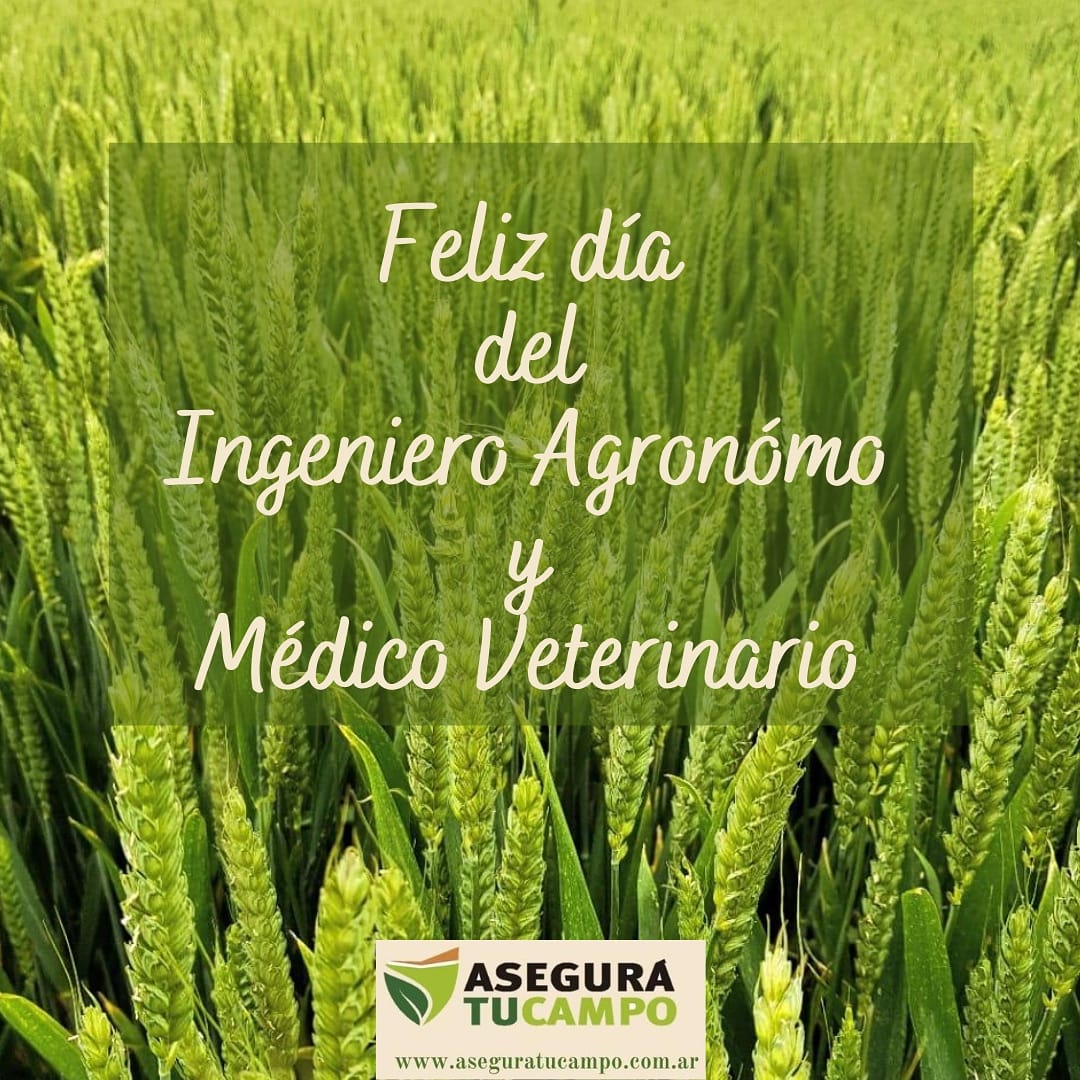 AseguraTuCampo's tweet photo. Lo lindo es poder compartir la vocación, Feliz día colegas agrónomos y veterinarios! 🌻🌞🌾 https://t.co/8xDvPFLgP3