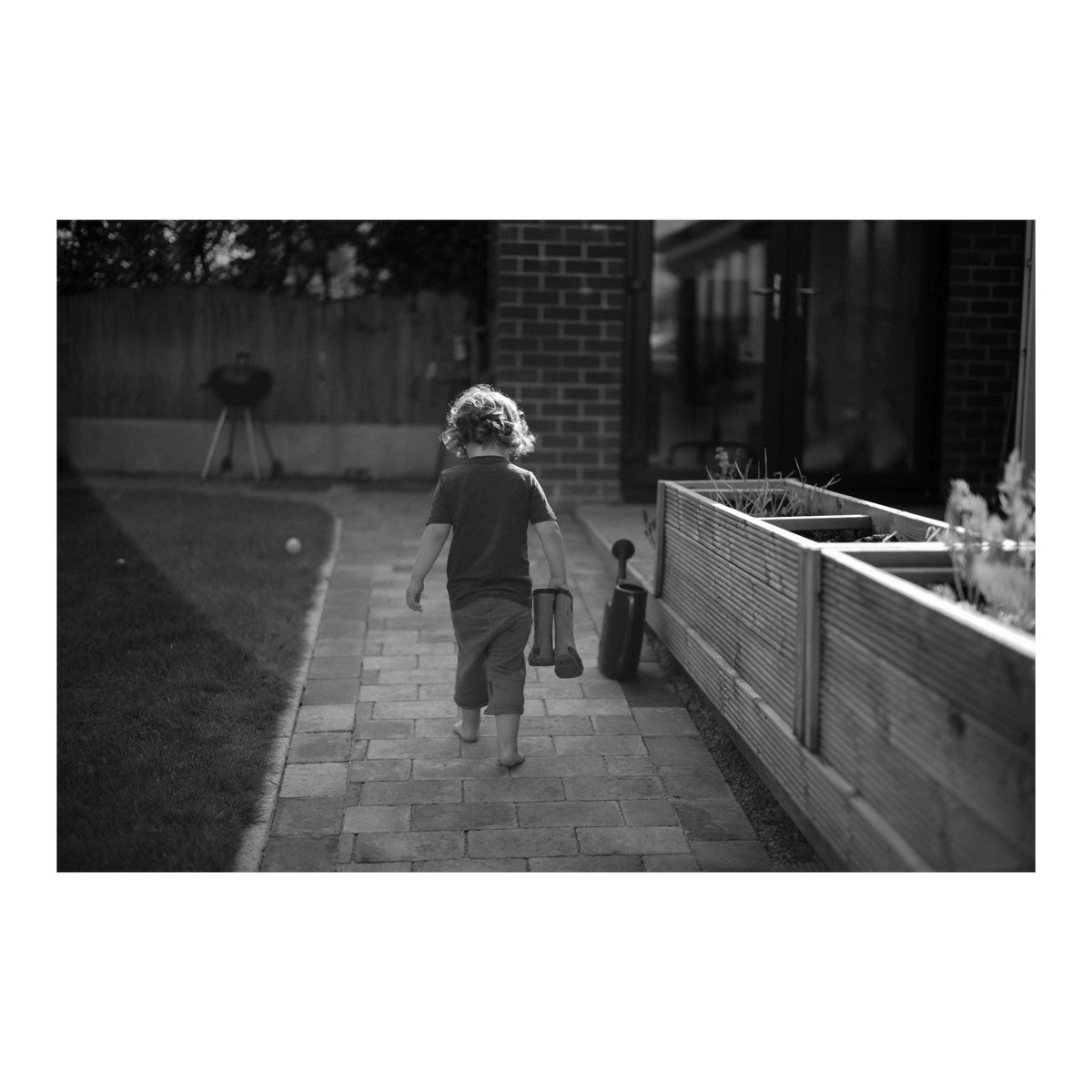 Love summer evenings in the garden #leicam10 #50mmsummilux #leicacamera