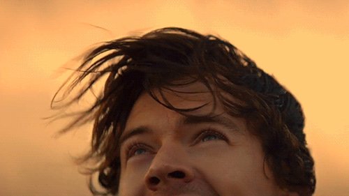 Anto171607's tweet photo. @Lilibet60349441 @Harry_Styles Me gustaría poser ir, ya que es mi sueño ir a conocerlo, y por temas personales no pude ir al del 2018, y estaba ahorrando para este y hizo sold out antes de que alcanzara :( https://t.co/FmMiRRwyU0