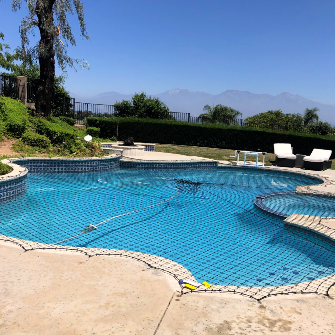 Katchakidinc's tweet photo. Talk about blue sky!
#poolsafety #poolsafetynet #poolnet #poolnets #poolcover #poolcovers #poolfence #poolfences #swimmingpools #swimmingpool #poolfencing #katchakid #katchakidinc #https://katchakid.com/ https://t.co/b0eUdf3KQR