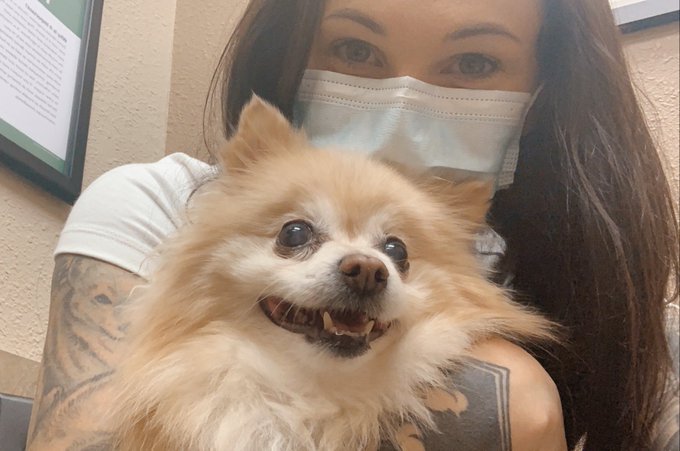 Back at the vet with my sweet old girl 😞 last month was brutal with both my girls and ultimately lost