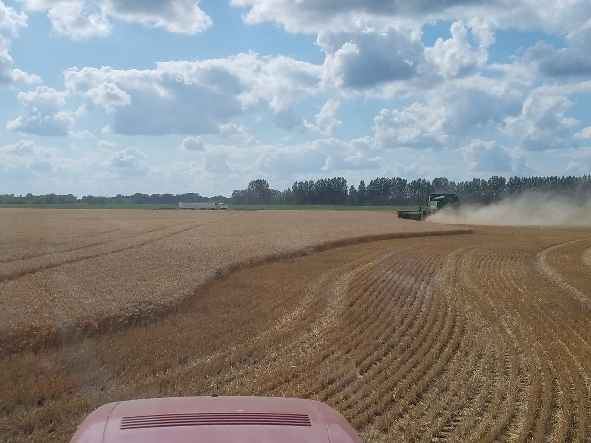 Ben Kettner tweet media