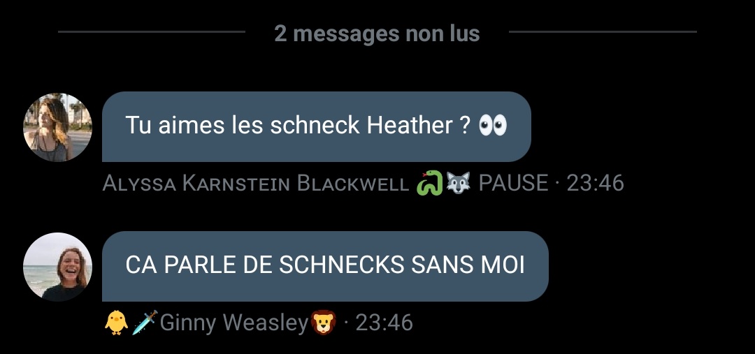 Gellert Grindelwald 🐰 tweet media