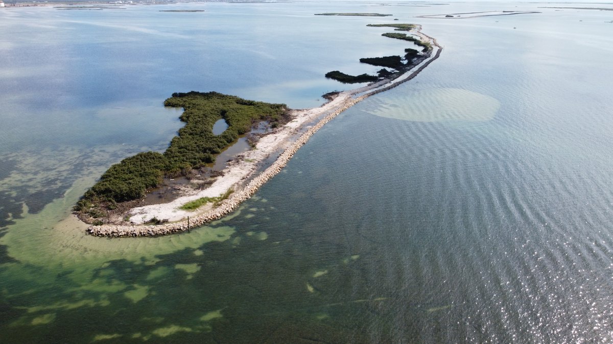 CCANational's tweet photo. CONSERVATION IN ACTION: @CCA_Texas got some incredible drone shots that show the wonderful progress on the restoration of Dagger Island!

@CCA_Texas and the @CCABCT, in partnership with @DucksUnlimited and @TPWDnews, committed $250,000 to help restore the degraded... https://t.co/7UKsF6f15q