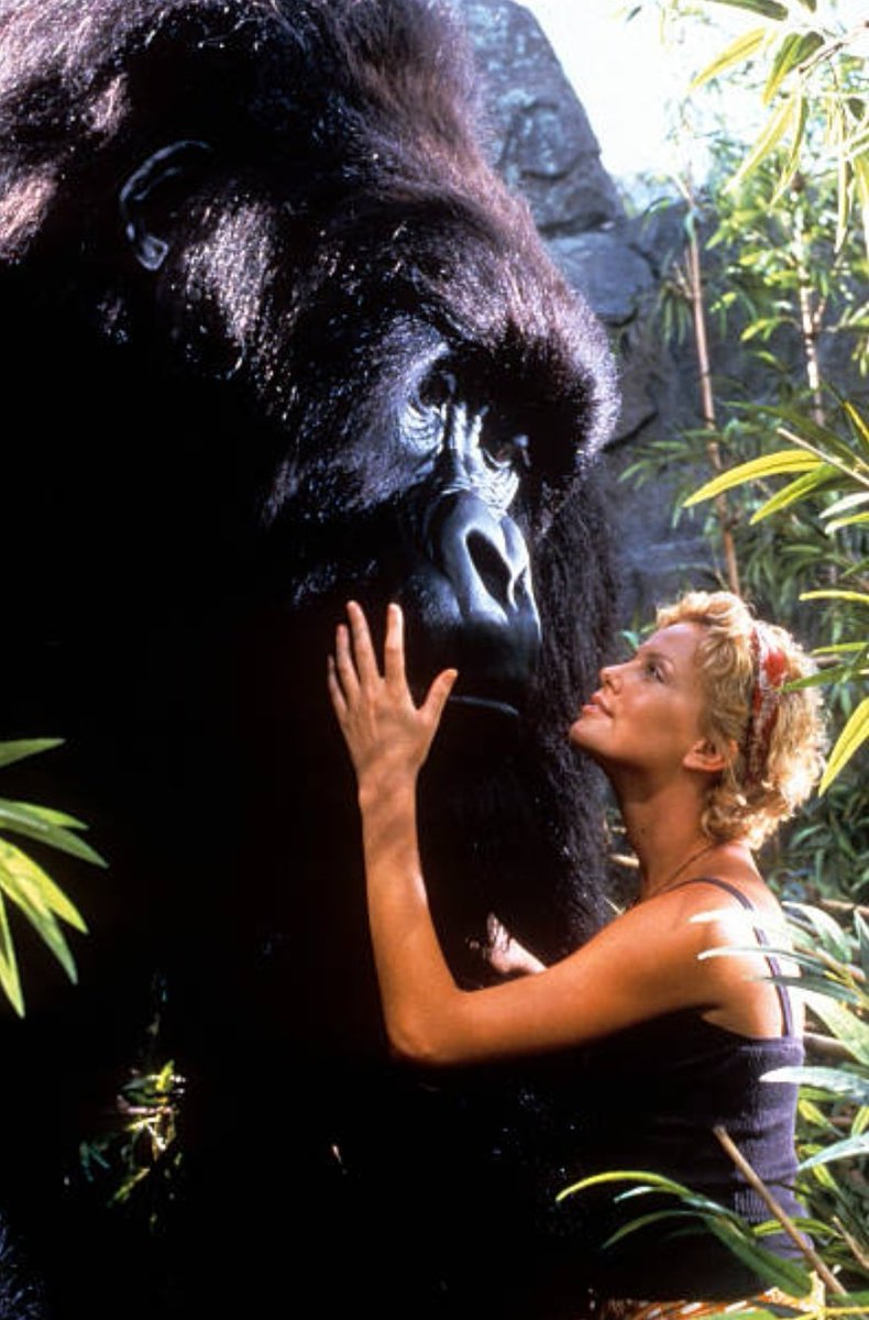 (1996), y eso allanó el camino para su primer papel principal, en “The Devil's Advocate” (1997).Esa película mostró su capacidad y versatilidad de actuación, y eso la llevó a interpretar otros papeles importantes, en particular en “Mighty Joe Young” (1998), “Celebrity” (1998),