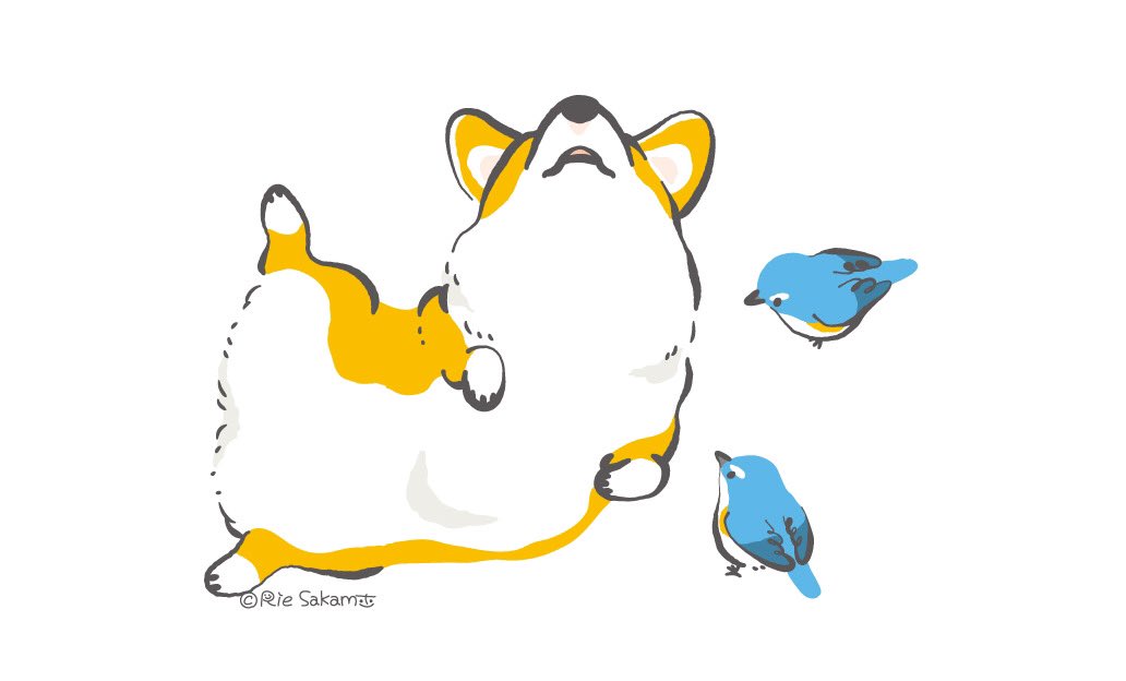 「コーギーとルリビタキ(ヒタキたち 1/9)
#corgi #コーギー #ルリビタ」|サカモトリエ/イラストレーターのイラスト