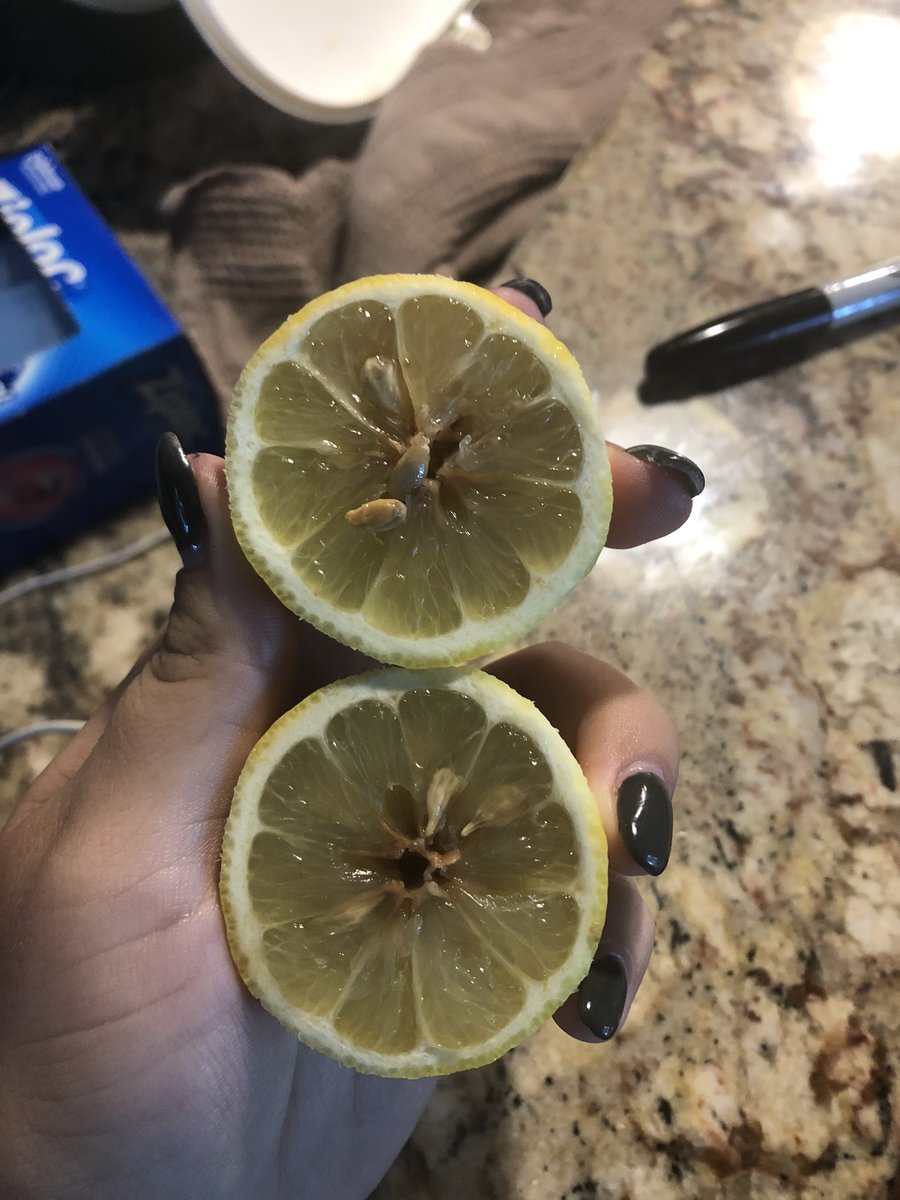 Avery Pottle tweet media