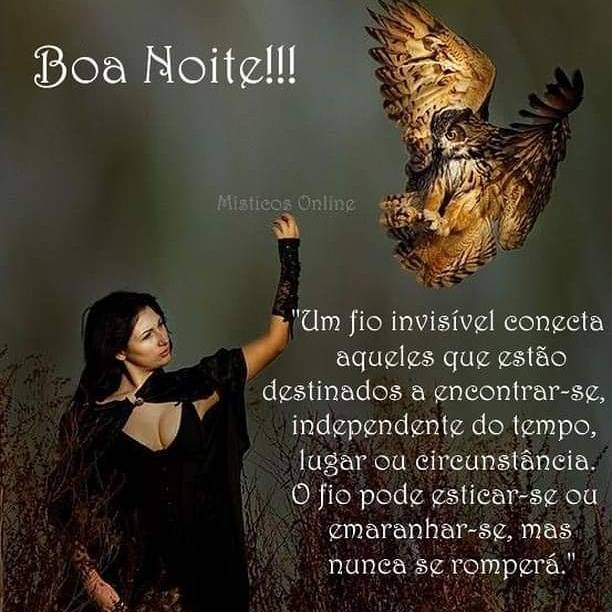 Místicos Online - Boa noite!!!🦉