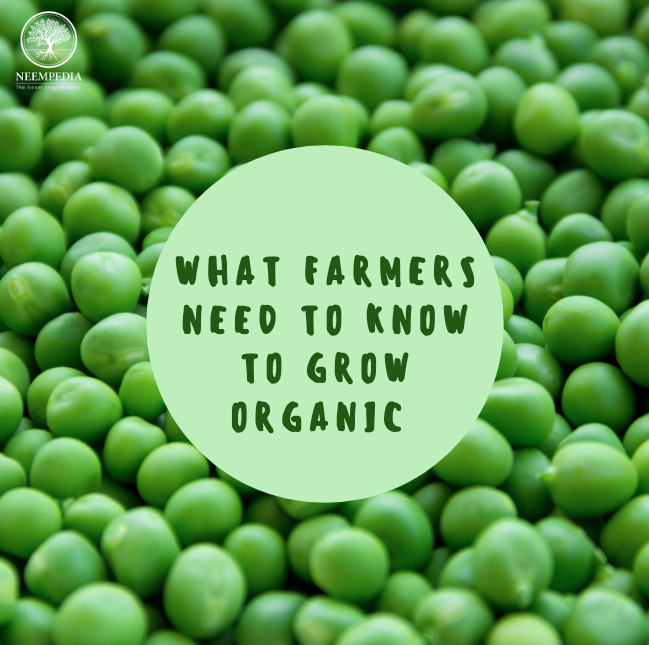 Neempedia's tweet photo. Experts recommends farmers to familiarize theirself with the USDA organic standards and learn how to farm organically. Neem plays a vital role in creating an organic food industry. Visit https://t.co/elwzRqqtmc for more information! https://t.co/5SqJzUmUXY