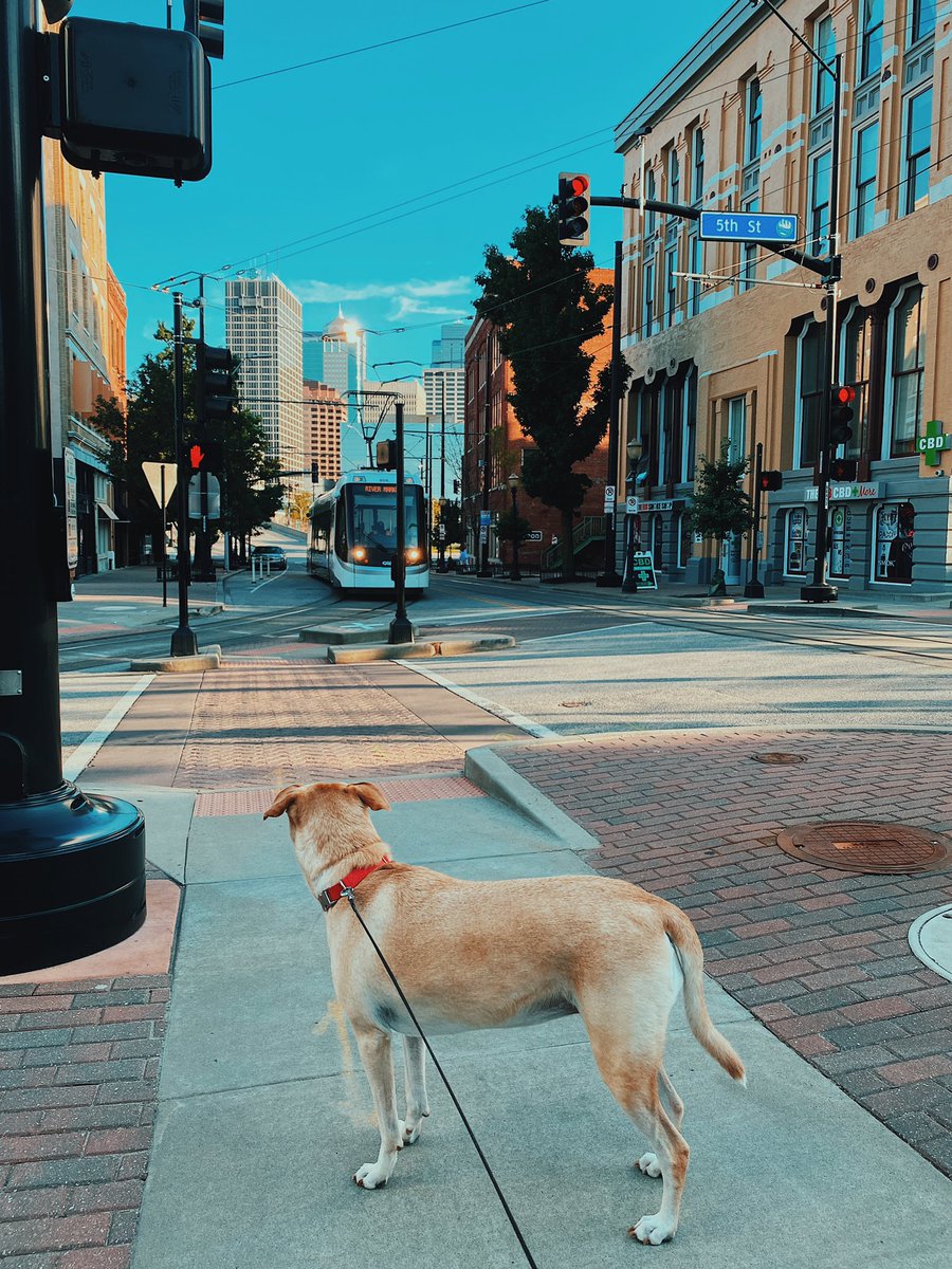 KyleeGregg's tweet photo. My girl in the city. More @kcstreetcar action. ✨ @VisitKC https://t.co/WwX9OKI35I