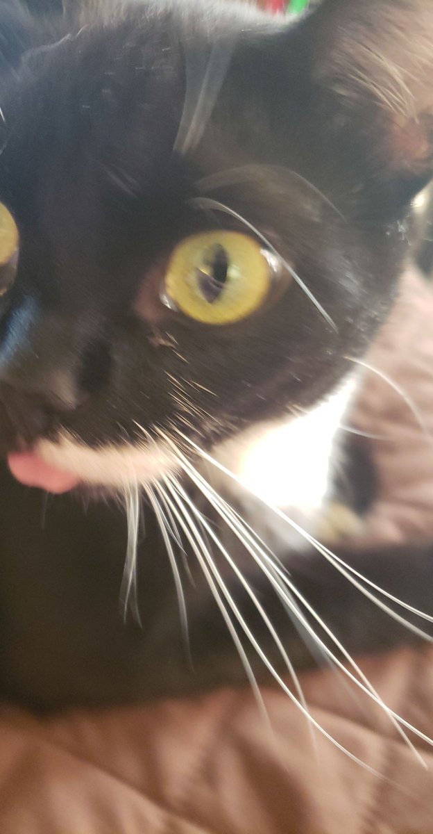 Empty head, no thoughts. A thread.