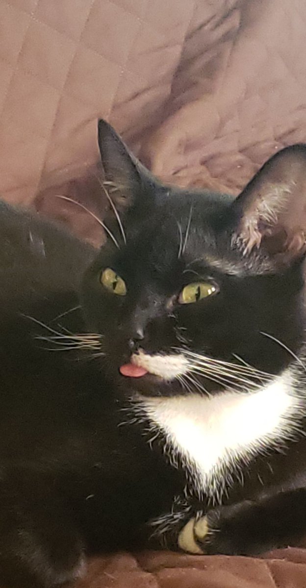 Empty head, no thoughts. A thread.