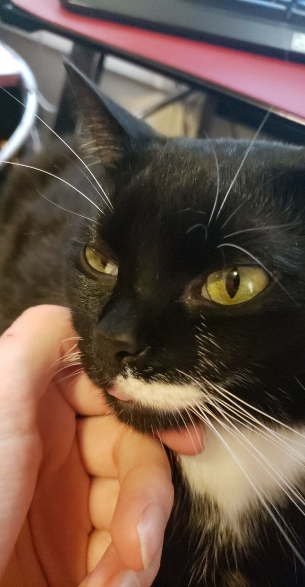 Empty head, no thoughts. A thread.