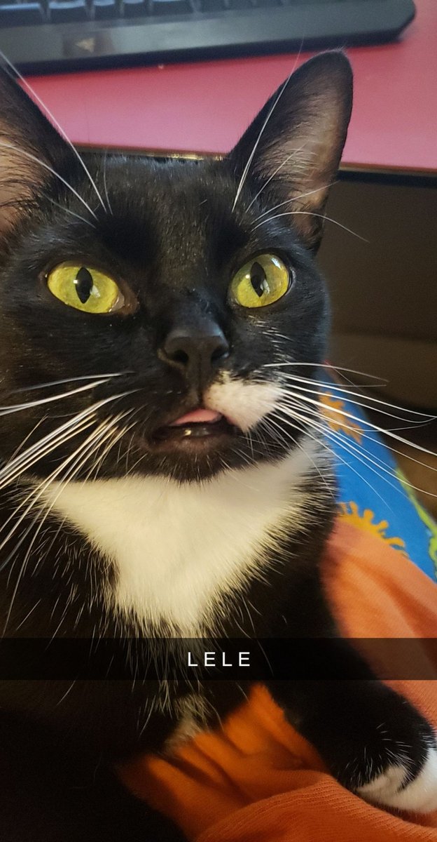 Empty head, no thoughts. A thread.