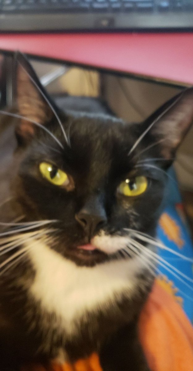 Empty head, no thoughts. A thread.