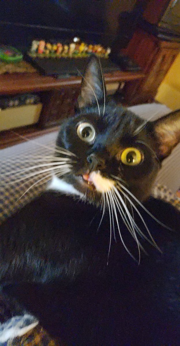 Empty head, no thoughts. A thread.