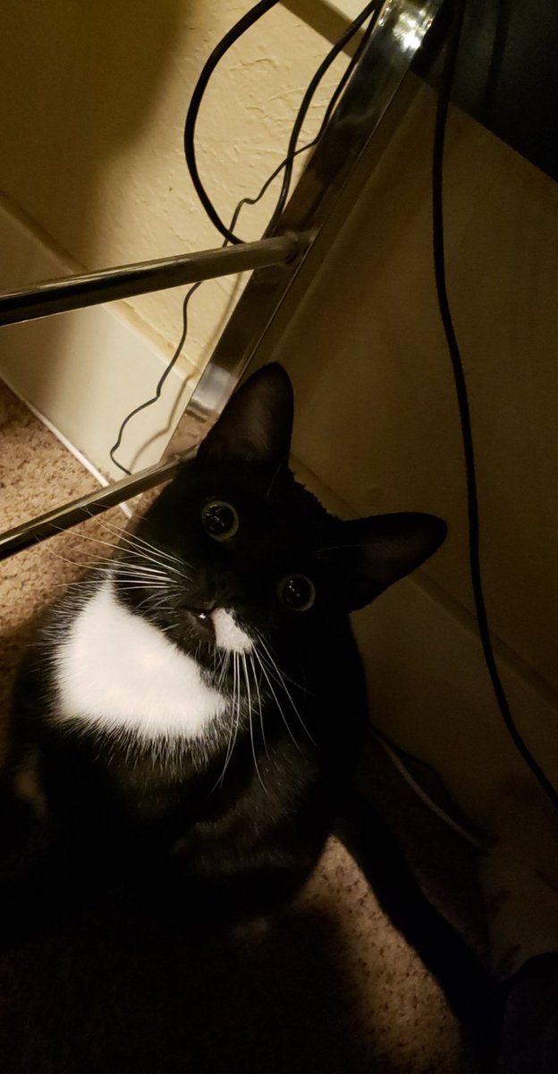 Empty head, no thoughts. A thread.