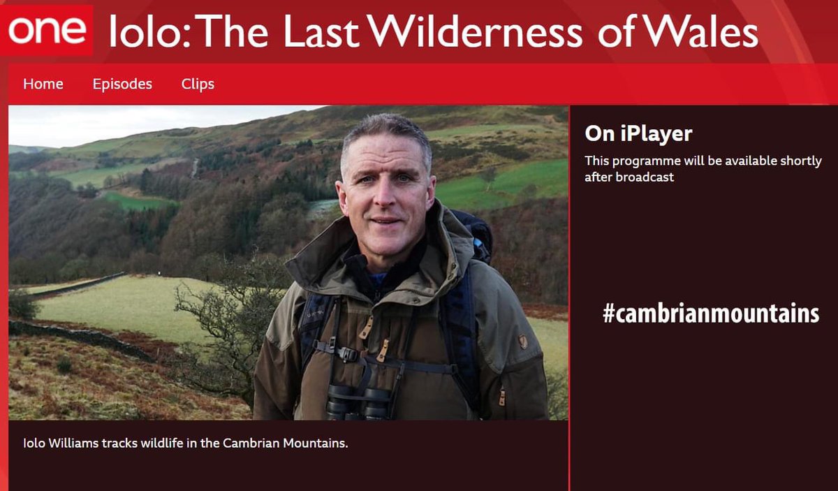 Lovely to see @IoloWilliams2 exploring #cambrianmountains on @BBCWales ‘The Last Wilderness of Wales’ out on @BBCiPlayer tonight. Happy memories of my backyard growing up. #hillfarming @VisitCambMtns ⛰❤️🏴󠁧󠁢󠁷󠁬󠁳󠁿