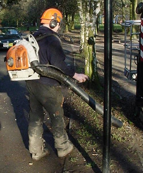 In my next career I am going to start a foundation dedicated to the elimination of gas powered leaf blowers #noleafblowers #WorkFromHome